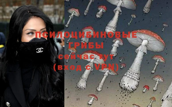 ALPHA-PVP Белокуриха