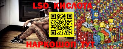 шишки Канаш