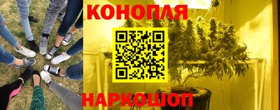 шишки Канаш