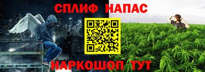 шишки Канаш