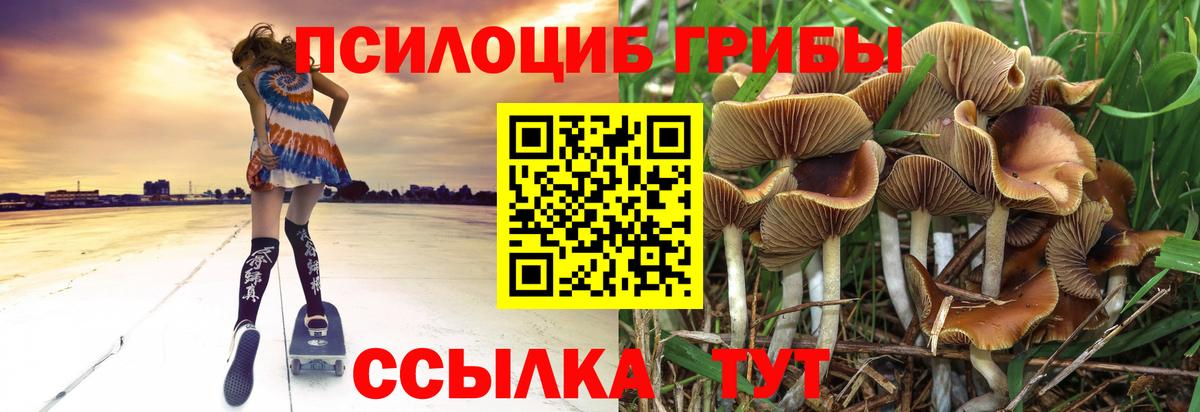 Галлюциногенные грибы мухоморы  Вход с VPN  купить наркотик  Бутурлиновка  Галлюциногенные грибы Magic Shrooms 