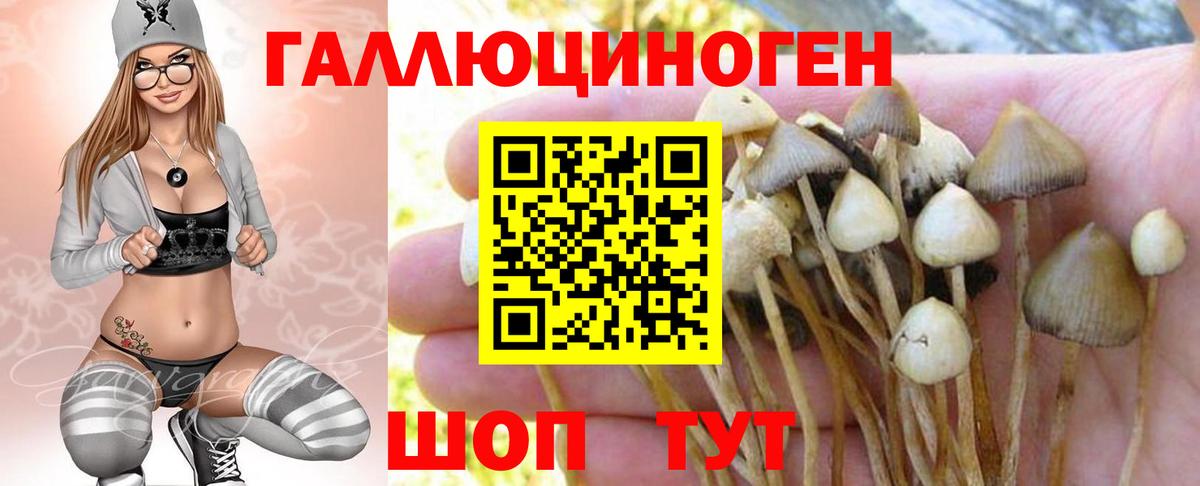 Псилоцибиновые грибы мухоморы Бутурлиновка